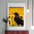 thumbnail image 2 of Diamond Art Kits for Adults - 5d Raven Sunflowers Bright Yellow Diamond Painting for Adults, Diamond Art for Adults Beginners, Diamond Painting Kits for Adults for Home Wall Decor, 2 of 7