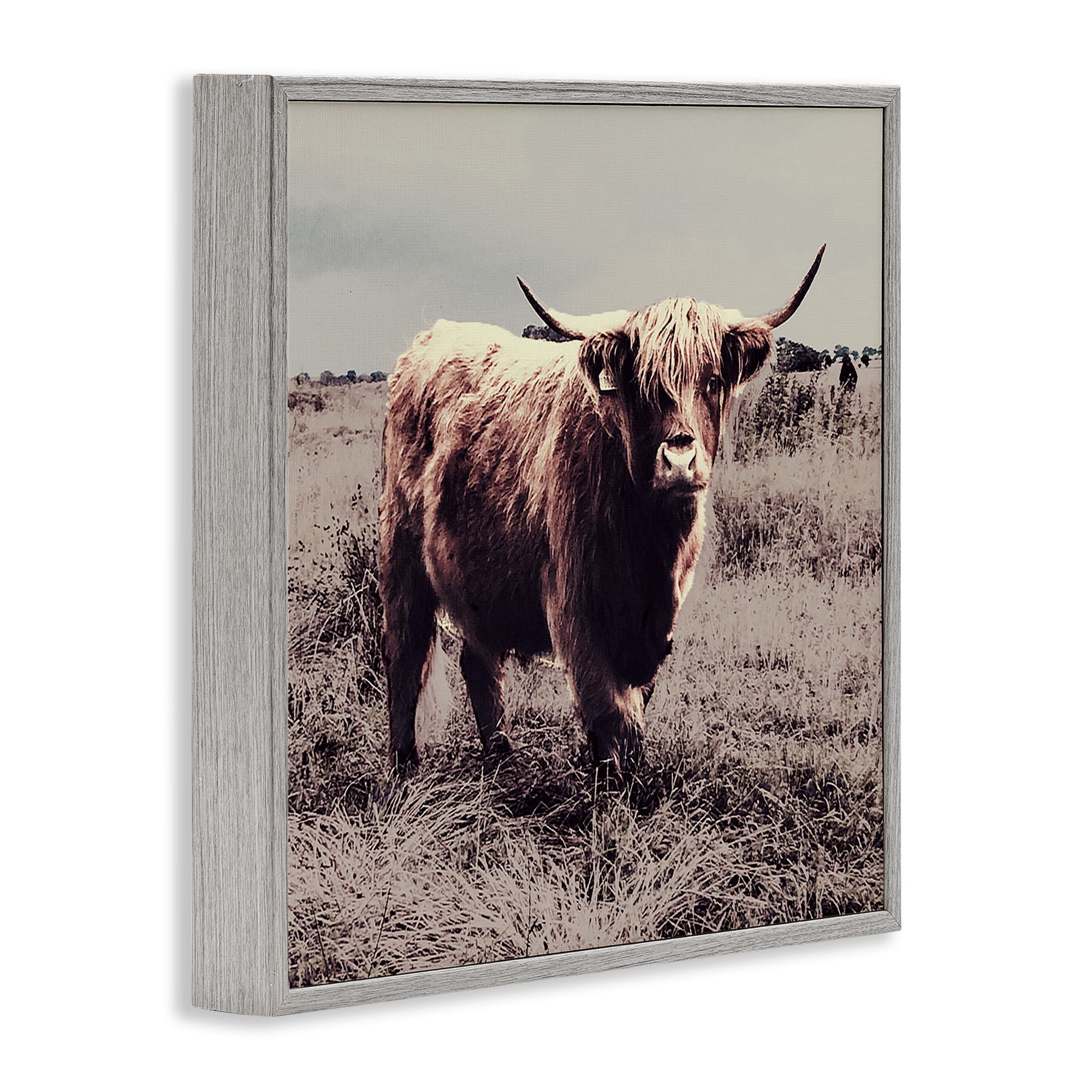 Stupell Industries Farm Cattle Rustic Vintage Styling Animals & Insects Painting Gray Framed Art Print Wall Art, 17 x 17