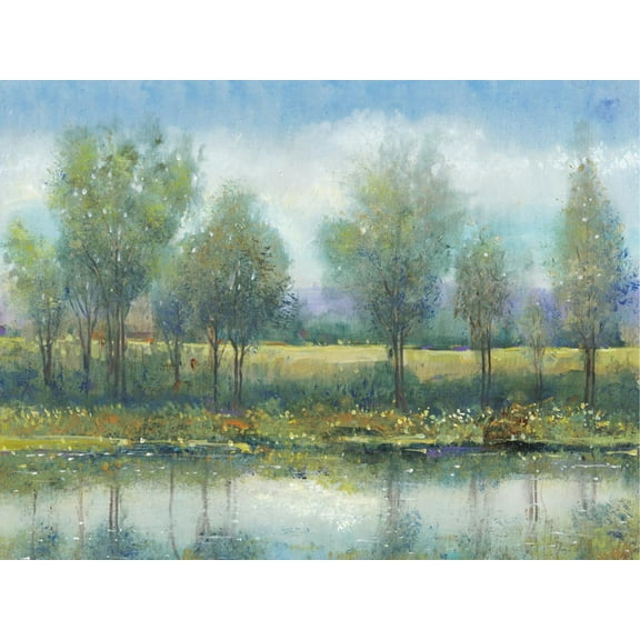 Art.com River Reflection II Art Print by Tim OToole, 16" x 12"