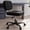Teddy black, variant on YERAIRR Armless Office Chair with Wide Seat,Teddy Fleece Fabric Computer Desk Chair Thickened Cushion Vanity Chair White