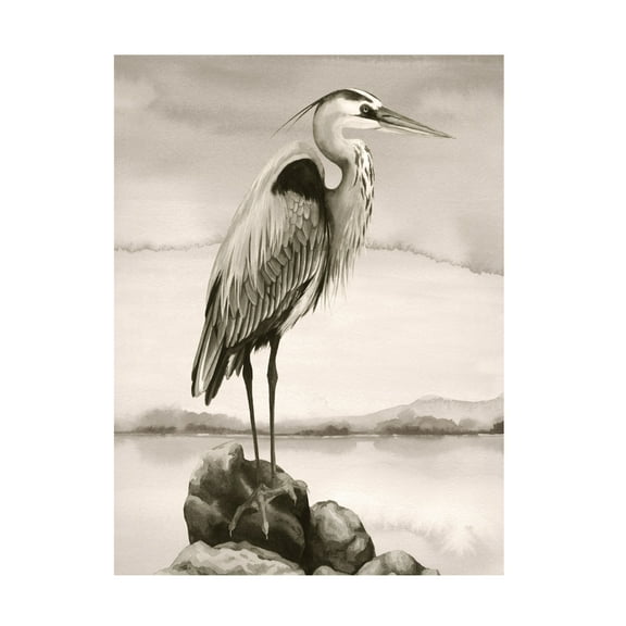 Trademark Fine Art Grace Popp  Sepia Watcher II Canvas Wall Art