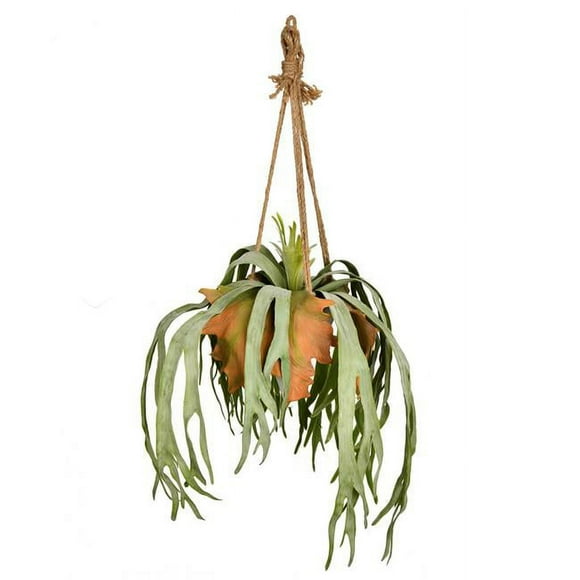Vickerman FH192001 22 in. Staghorn Fern in Hanging Ceramic Pot