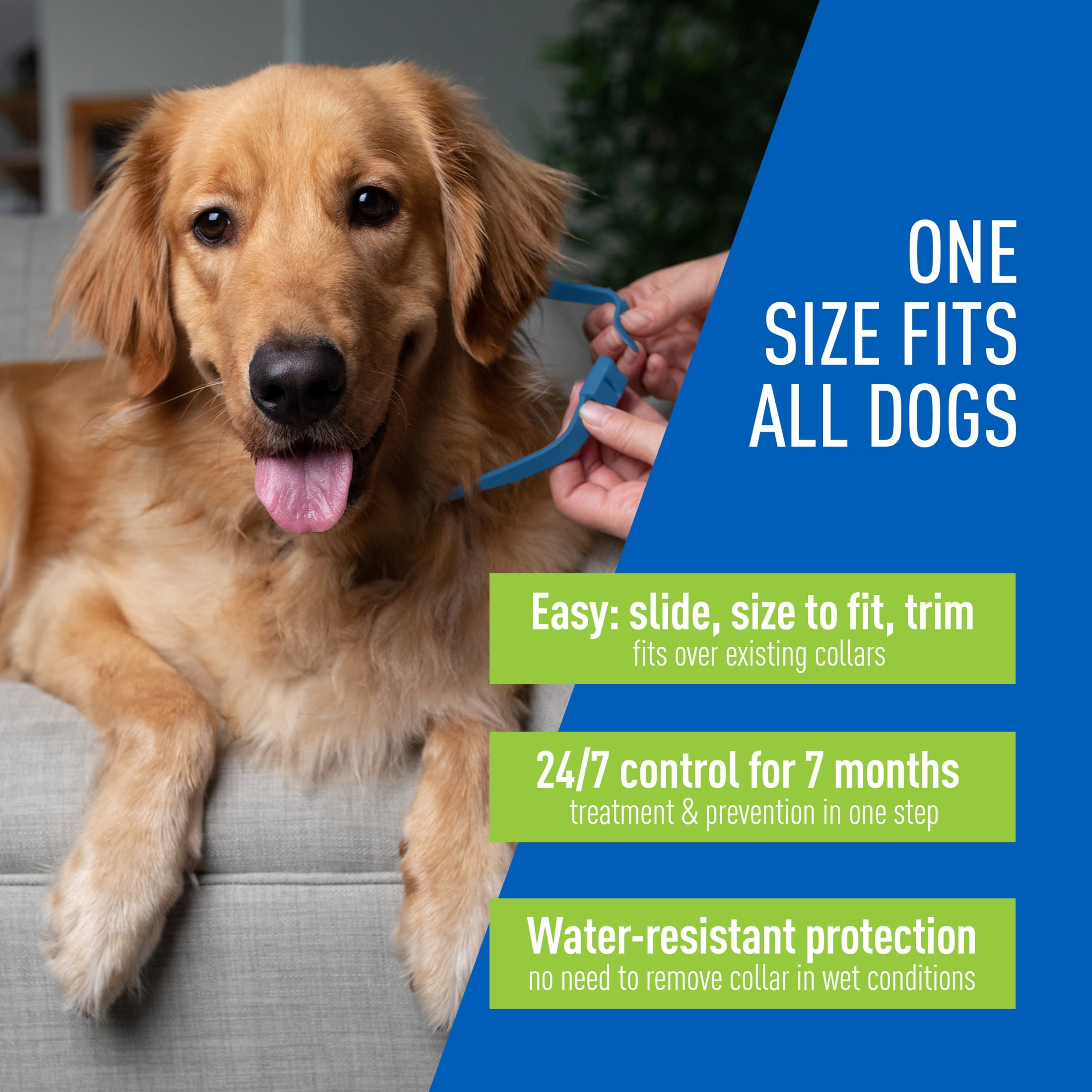 ADAMS Flea & Tick Control Collar for Dogs, 7-Month Protection, Adjustable Collar Fits Dogs & Puppies, Kills Fleas & Ticks