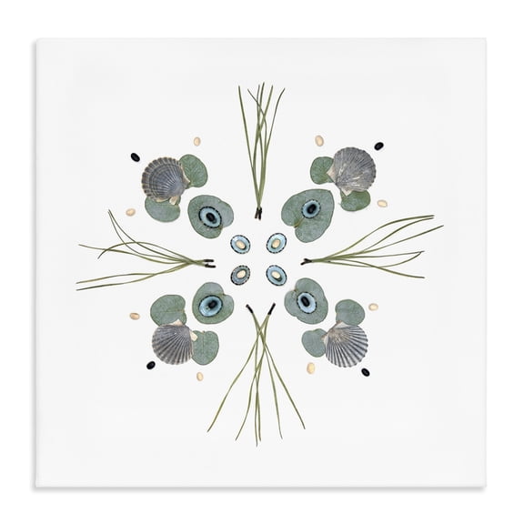Stupell Industries Eclectic Seashell & Leaf Symmetry Canvas Art, 17 x 17, by Beth Adoette