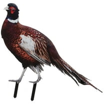 TEHAUX Pheasant Ornaments for Garden Acrylic Decoration Outdoor Lawn