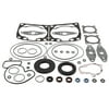 Winderosa 711052X Gasket Set with Oil Seal