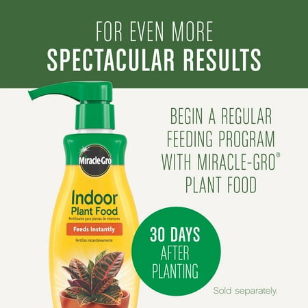 Miracle-Gro Houseplant Potting Mix 4 qt. - Black