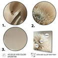 thumbnail image 3 of Designart White Gerbera Flowers III Canvas Wall Art, 3 of 5