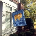 thumbnail image 2 of Carolines Treasures CK6093CHF Red Pomeranian Welcome Flag Canvas House Size Large multicolor, 2 of 4