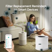 Xiaomi 4C Filter Replacement for Air Purifier,3-in-1 True HEPA H13,6-12 Months Life