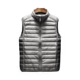 thumbnail image 2 of BAETEUY Men Cotton Vest, Stand Collar, Sleeveless, Zipper, Placket, Lightweight, Quilted, Waistcoat, Solid, Color, Cotton, Vest, Jacket, Pockets, 2 of 7