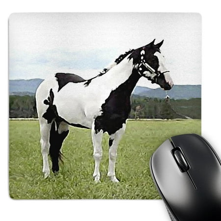 3dRose  Paint Horse  MousePad price history on PriceWatchPro