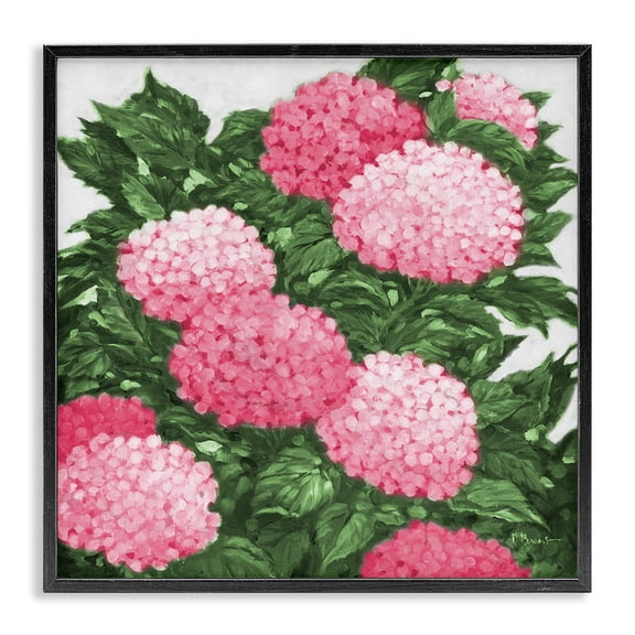 Stupell Industries Impressions Of Hydrangeas Black Framed Giclee Art design by Paul Brent, 12 x 12