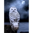 thumbnail image 1 of Diamond Painting (DE5893) DIY 5D Kit Búho Square Rhinestone Arts (WT255) 20X30cm FLhrweasw Nuevo, 1 of 1
