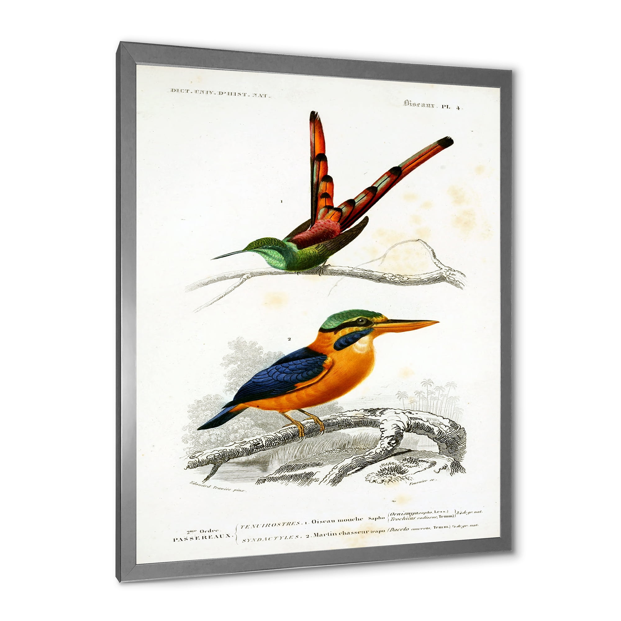 Designart 'Ancient Bird I' Traditional Framed Art Print