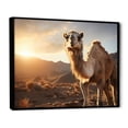 thumbnail image 2 of Designart "Camel Dusk Charm" Animals Floater Framed Canvas Art Print, 2 of 7