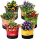 thumbnail image 1 of Bolsas de cultivo, macetas de tela con asas para plantar al aire, jardín, verduras, flores, frutas, 1 of 4