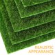 thumbnail image 3 of FENGGUIQU 12Ud De Musgo Artificial Verde Para Manualidades Con Apariencia, 3 of 5