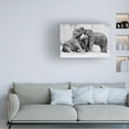 thumbnail image 2 of Antje Wenner Braun 'Ma�Nage A� Trois' Canvas Art, 2 of 4