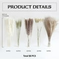 thumbnail image 3 of VogueV Small Dried Pampas Grass Bouquet, Natural Reed for Boho Vase Filler, Wedding Centerpiece & Home Office Shelf, Fluffy Zero-Maintenance, 1Xbouquet, 3 of 8