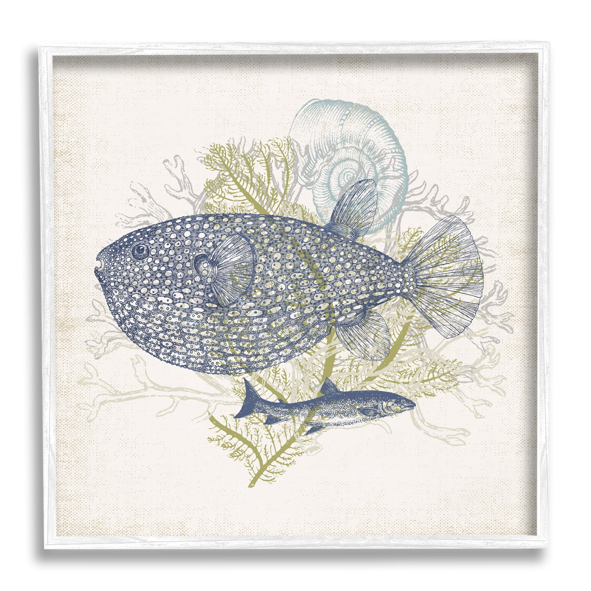 Stupell Industries Aquatic Sea Life Rustic Seashell Layered Fish Graphic Art White Framed Art Print Wall Art, Design by Victoria Barnes