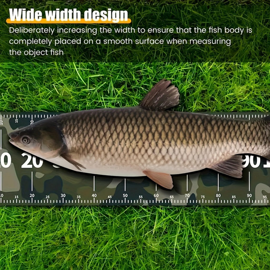 WINDLAND 10/20/30cm Width Measuring Tape Fishing Essential Fish Tape Measure