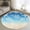 Brown Blue, variant on Rectangle Area Rugs 2.7 x 5 Ft, Rustic Coastal Non-Slip Residential Carpet, Sea Nautical Summer Beach Starfish Coral Indoor Crawling Mats Runner Rugs for Living Room/Dining Room/Bedroom