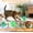 1 Pack, variant on 2025 1Pack Ball Kitten Toys for Indoor Interactive Kitty Ball Speedy Tail 360? Automatic Rolling(Green)