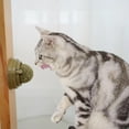 thumbnail image 6 of EHJRE 5xFun Cat Catnip Lick Ball Healthy Ball Solid Adhesive Treats 5 Pcs, 6 of 8