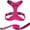 Fuchsia, variant on Voyager Step-In Lock Dog Harness & Reflective Leash Set w/ Neoprene Handle 6ft - For Small to Large Breed Dogs/ Cats, Cute & Heavy-Duty for Walking, Running & Training - Pink Black Trim, XXXS