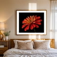 thumbnail image 3 of Red Zinnia - Photography Floral Flowers Botanical Nature Garden Summer Scenic Unframed Wall Art Print 22 x 28 inches, 3 of 5