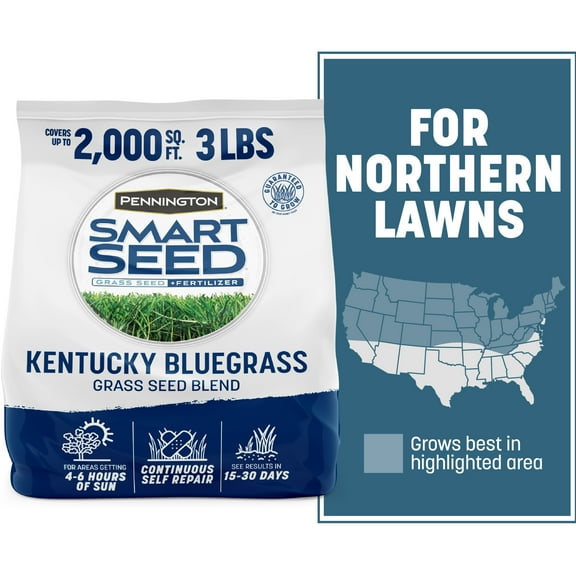 Pennington Smart Seed Kentucky Bluegrass Grass Seed Mix, for Sun to Partial Shade, 3 lb, 1 Pack, New