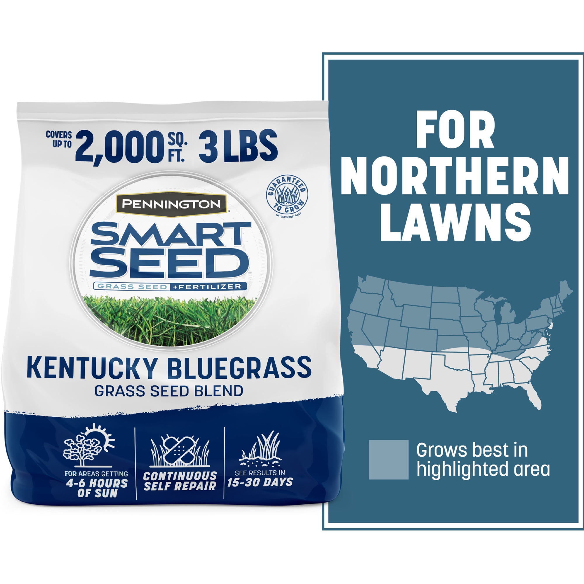 Pennington Smart Seed Kentucky Bluegrass Grass, Lawn Seed Grass for Sun to Partial Shade, 3 lb, 1 Pack