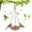 Red, variant on Livrdious Acrylic Bird Feeder Bird Feeder Outdoor Hanging Bird Feeder on Clearance