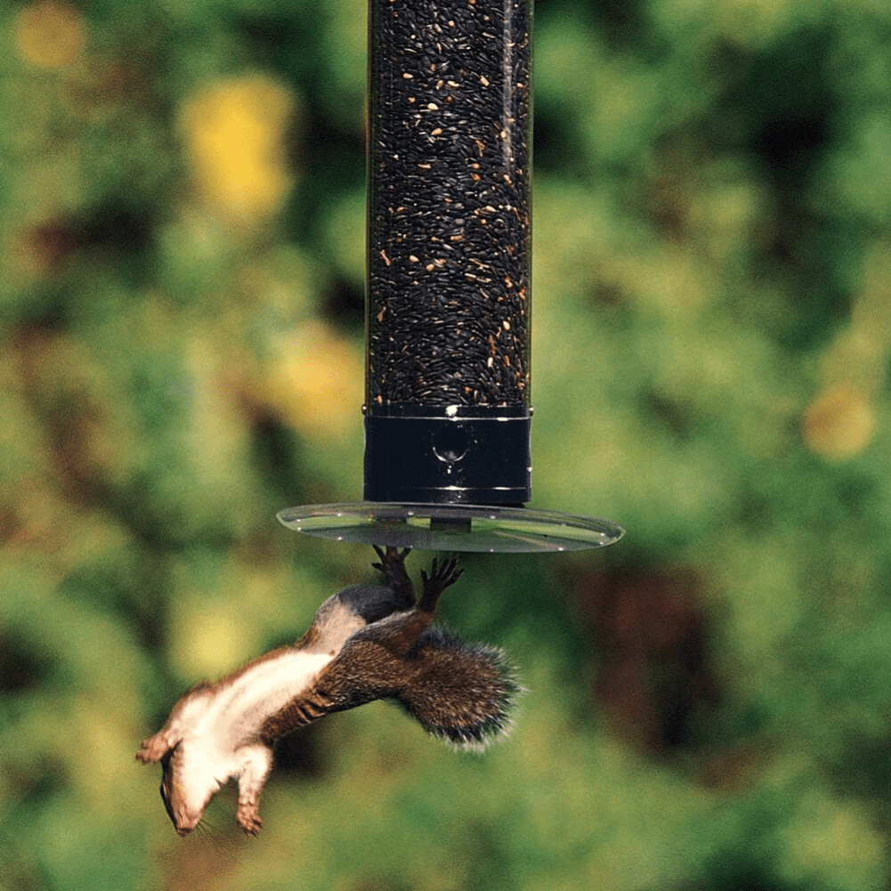 Droll Yankees Yankee Tipper Squirrel-Proof Cardinal Bird Feeder, Black