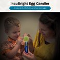 thumbnail image 6 of Incu-Bright™ Ultra Bright LED Light Egg Candler, 6 of 9