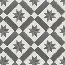 The Tile Life Astral Gray Star Matte Porcelain Floor & Wall Tile, 10 x 10 in, 16-Piece, Geometric