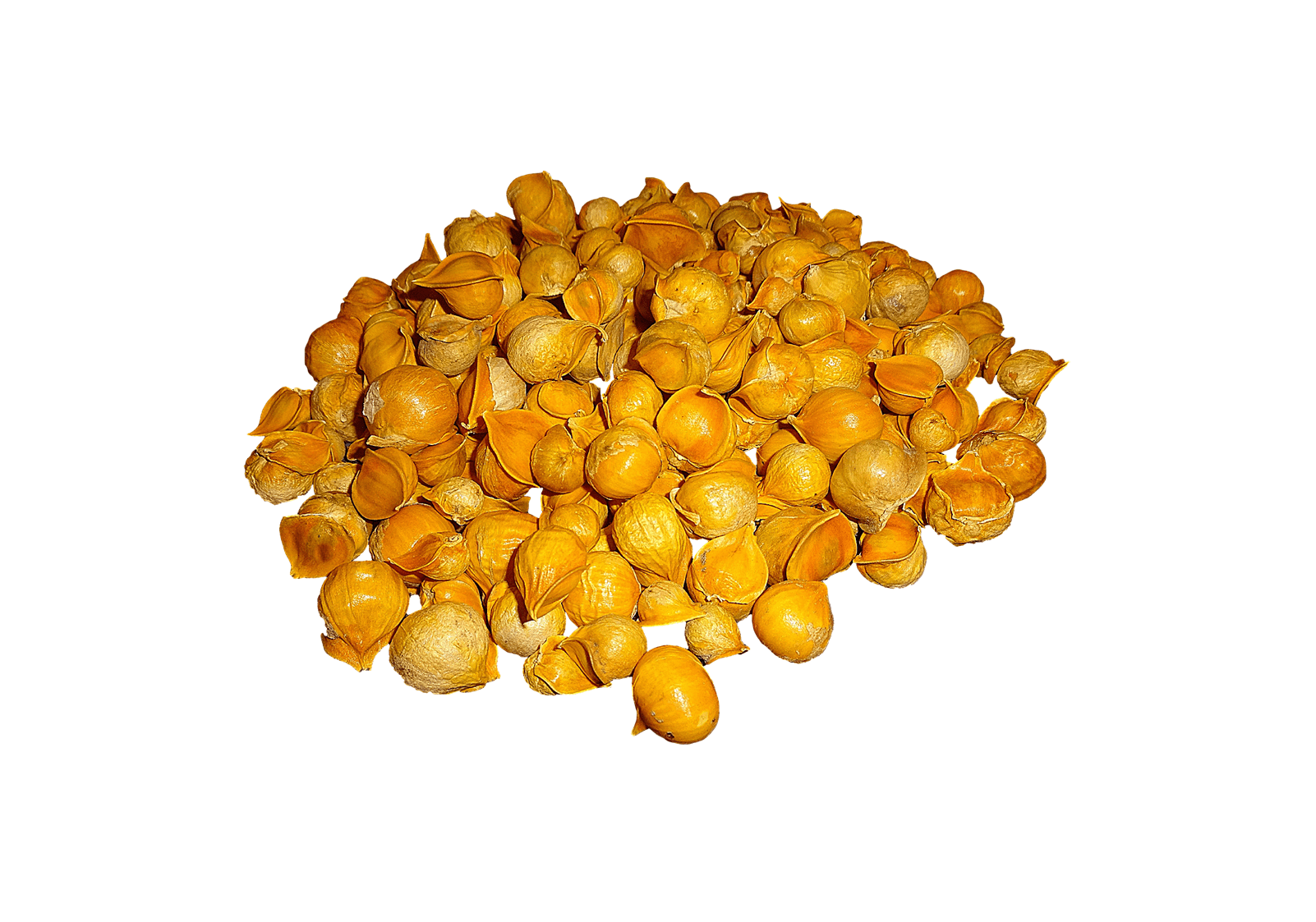 Japanese Garlic (Ajo Japones) 100% Natural!!! 250 (Count per bag) 7 oz