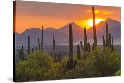 A Wall Art Canvas Picture Print Desert Highway Mountains Sunset California 3.2 
