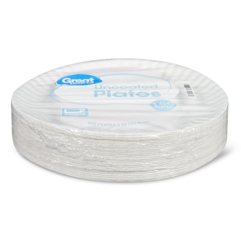 Big Lots White Uncoated Paper Plates, 100 Count