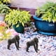 thumbnail image 5 of Modelo de juguete Chimpancé Hugo Figuras de lobo, 5 of 10
