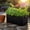 Rectangle, variant on Hovilon 9-Hole Hydroponic Scallion Planter - Soil-Free Green Onion Regenerator Box for Kitchen Countertops, Food-Grade Plastic Herb Growing Kit for Indoor Gardening and Windowsill Farms