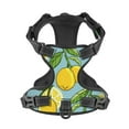 thumbnail image 4 of Picia Lemon No-Pull Dog Harness Reflective Front Clip Vest with Handle,Step-in Air Dog Harness,Adjustable 2 Metal Rings 4 Buckles,Easy to Put on & Take Off Small, 4 of 9