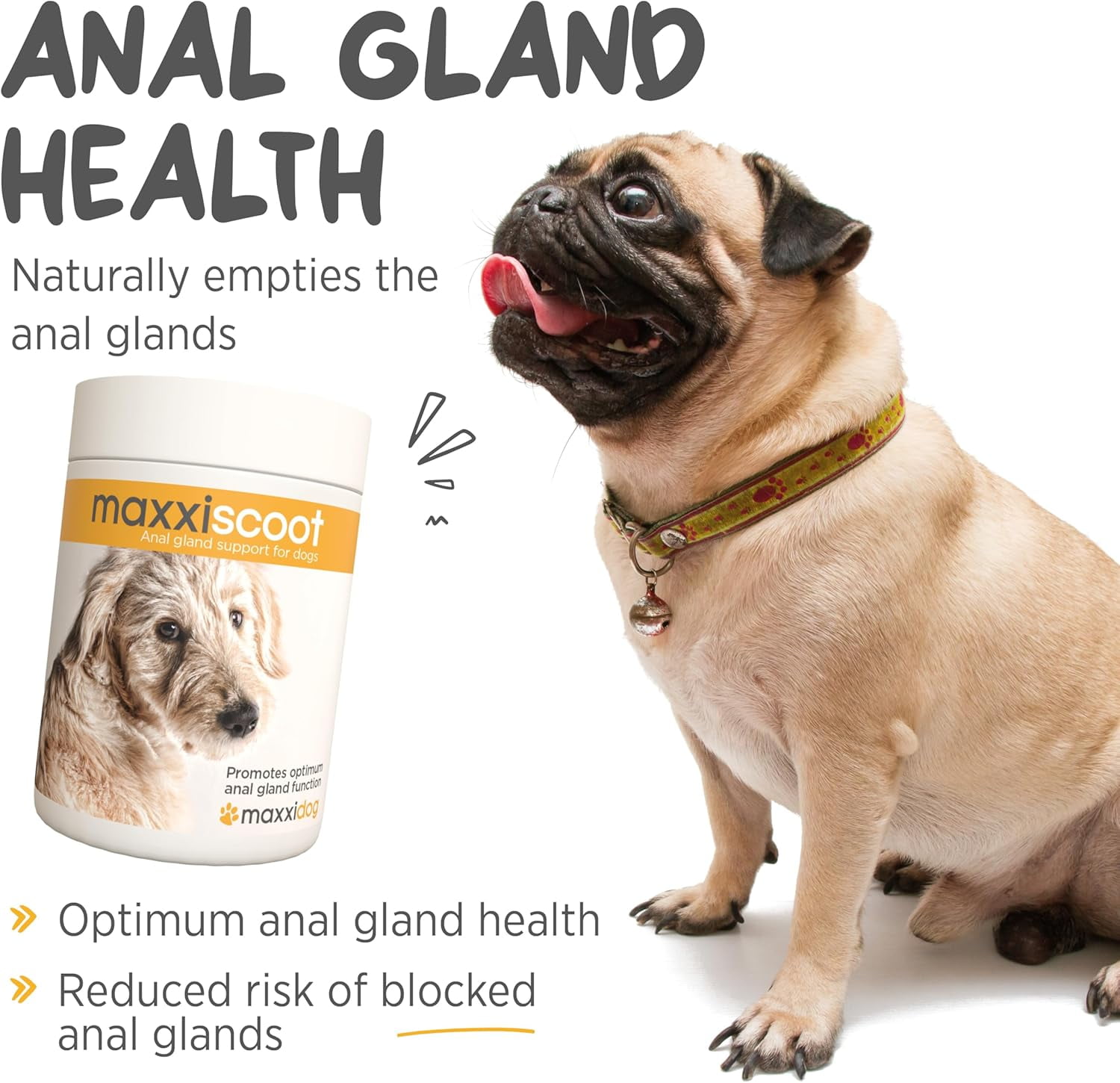 maxxipaws maxxiscoot Anal Gland & Digestive Health Support for Dogs - Powder Supplement, 5oz