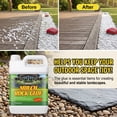 thumbnail image 4 of 136 Oz Strong Bond Landscape Adhesive | Fast-Drying Non-Toxic Outdoor Glue, Secure Gravel, Rocks, Pea Stone, Mulch & Pond Foam With Permanent Bonding, 4 of 8