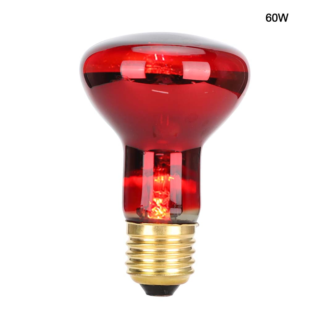 Reptile Bulb, Reptile Light, E27 Lamp Base ABS R63 Tortoise Amphibian