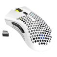 thumbnail image 2 of Computer Gaming Mouse Hollow Rechargeable Wireless Cursor, 2 of 9