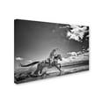 thumbnail image 2 of Trademark Fine Art 'Walk on Water' Canvas Art by Dan Ballard, 2 of 3