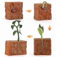thumbnail image 1 of Bubble Blowing Toys HUOGUO, modelo de ciclo de crecimiento de plantas, 4 unidades, 1 of 5