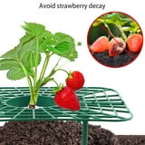 Deago 5 Pack Strawberry Supports for Garden Strawberry Plant Support ...